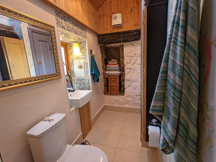 Secluded Private Cottage Hot-Tub, Sauna & Fire-Pit Carrick on Shannon エクステリア 写真