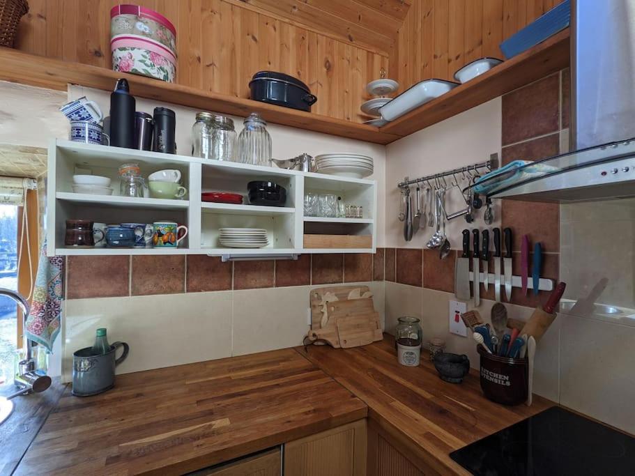 Secluded Private Cottage Hot-Tub, Sauna & Fire-Pit Carrick on Shannon エクステリア 写真