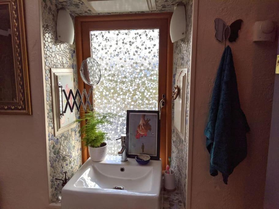 Secluded Private Cottage Hot-Tub, Sauna & Fire-Pit Carrick on Shannon エクステリア 写真