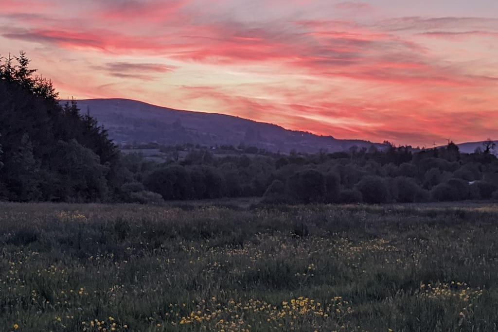 Secluded Private Cottage Hot-Tub, Sauna & Fire-Pit Carrick on Shannon エクステリア 写真