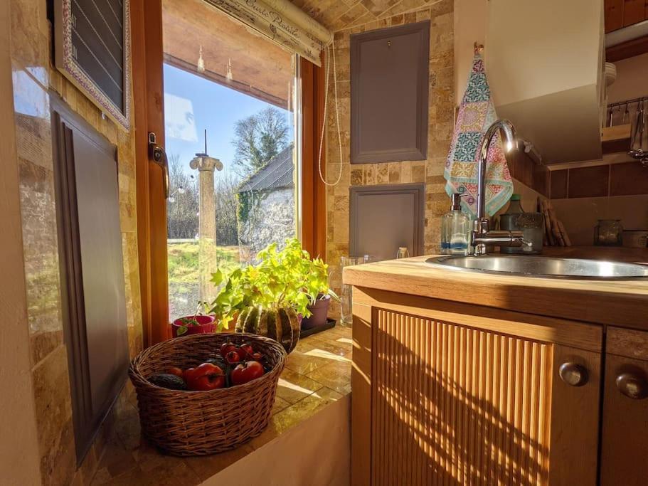 Secluded Private Cottage Hot-Tub, Sauna & Fire-Pit Carrick on Shannon エクステリア 写真