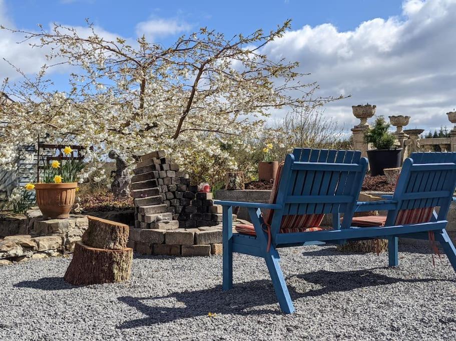 Secluded Private Cottage Hot-Tub, Sauna & Fire-Pit Carrick on Shannon エクステリア 写真