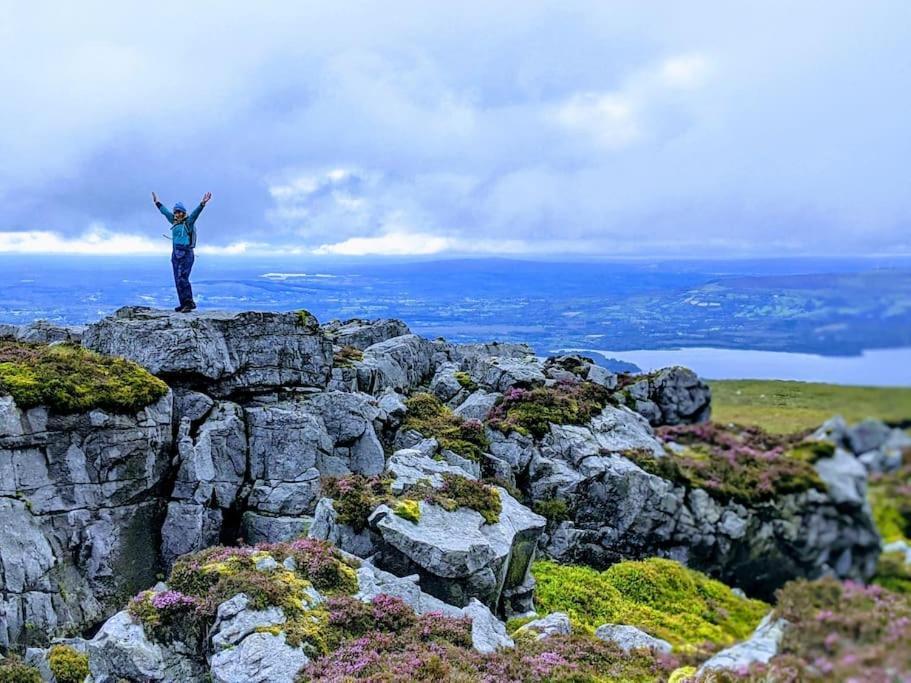 Secluded Private Cottage Hot-Tub, Sauna & Fire-Pit Carrick on Shannon エクステリア 写真