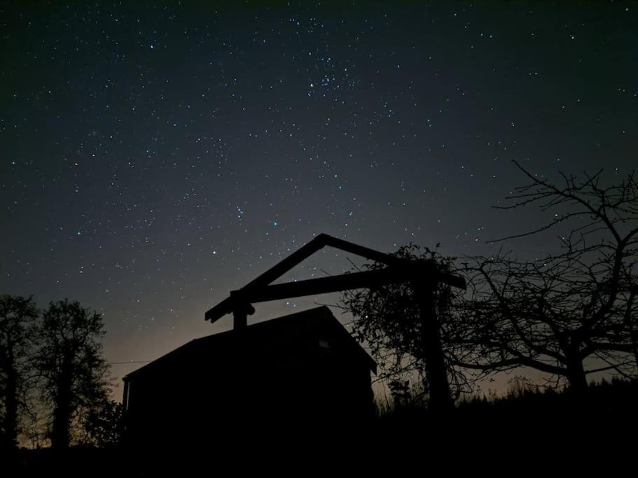 Secluded Private Cottage Hot-Tub, Sauna & Fire-Pit Carrick on Shannon エクステリア 写真