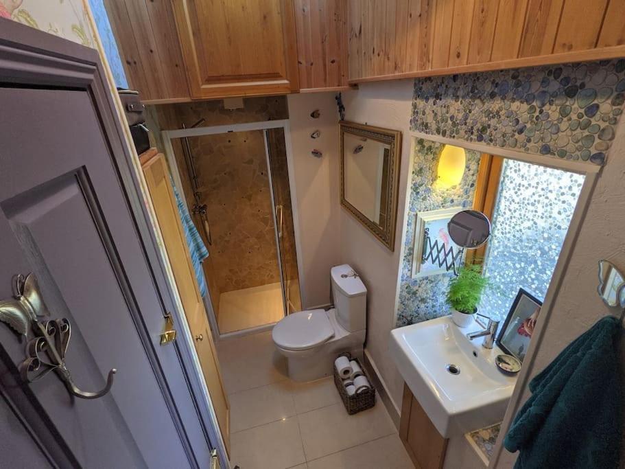 Secluded Private Cottage Hot-Tub, Sauna & Fire-Pit Carrick on Shannon エクステリア 写真